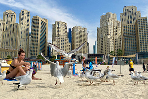 Россиянка описала отдых в Бахрейне фразой «дешевле ОАЭ, лучше Египта»