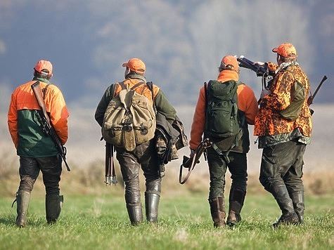 В Орловской области установили сроки охоты на сизого голубя и крякву